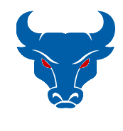besiktascelo.store logo